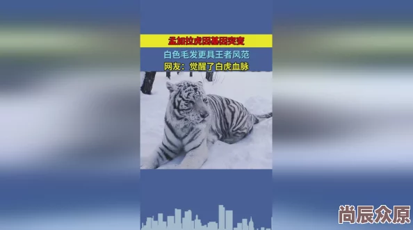 白虎麻豆：全球首个白虎基因改良项目成功，或将引发农业革命！
